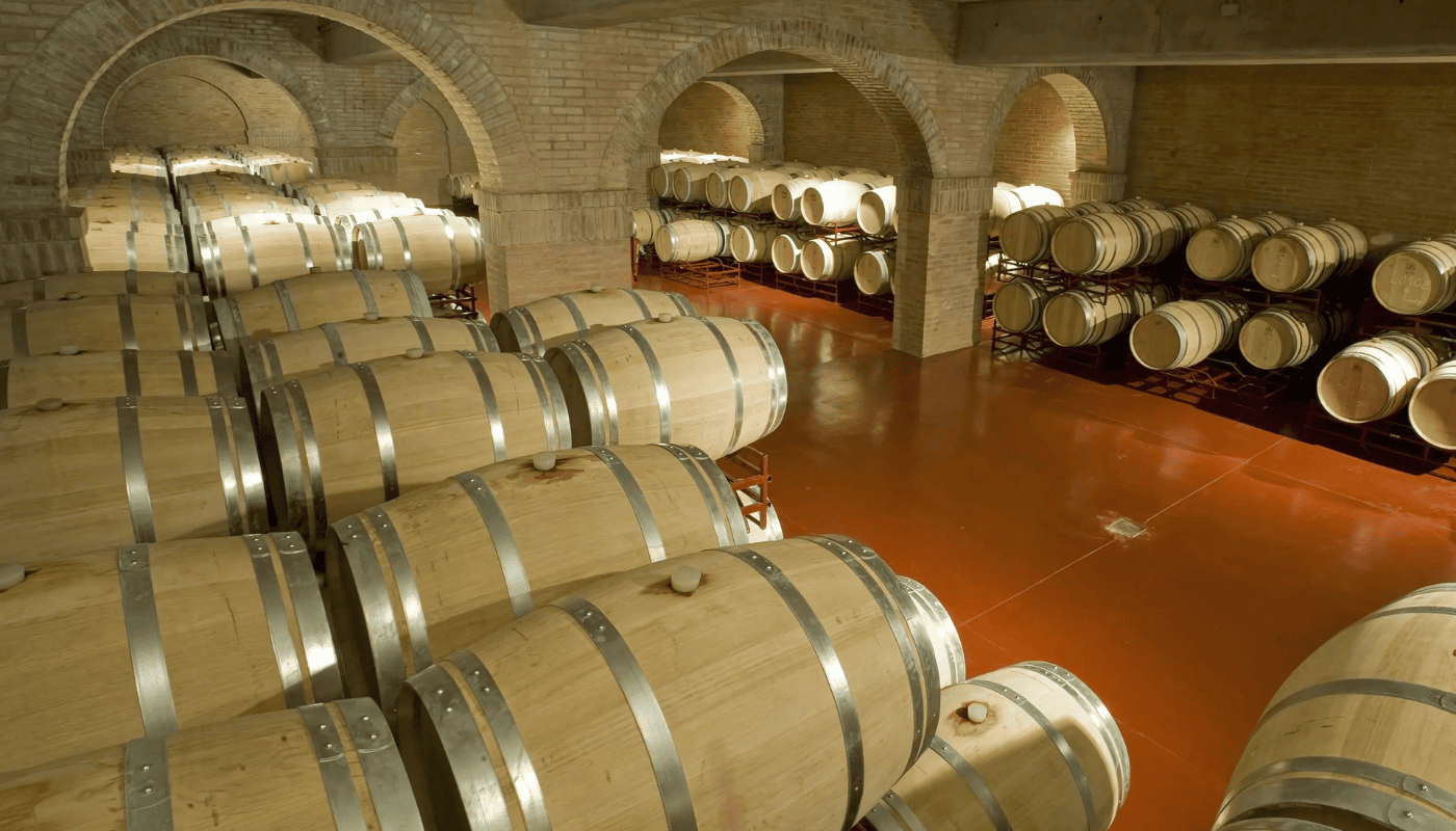 Belasco de Baquedano wine cellar barrels