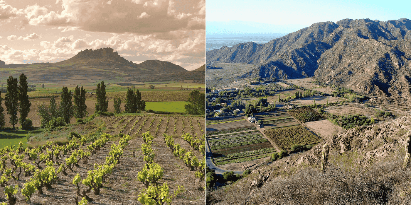 Vineyards in the Andes regions