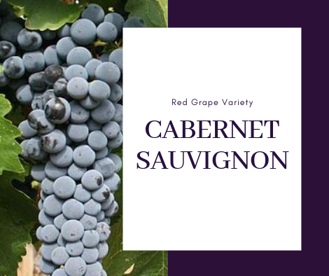 Cabernet Sauvignon