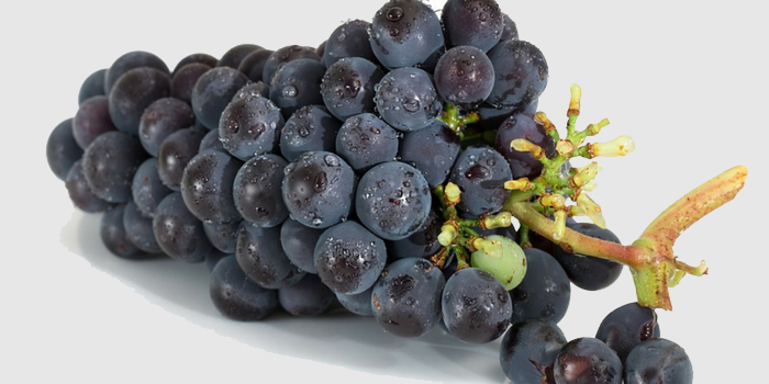 Carignan grape - A Red Grape Vareity