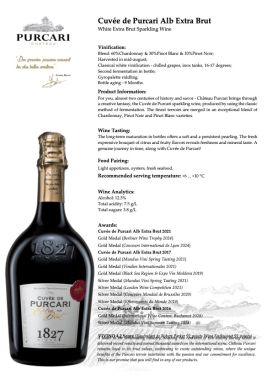 Logo for: Chateau Purcari (Sparkling Wine 2022)