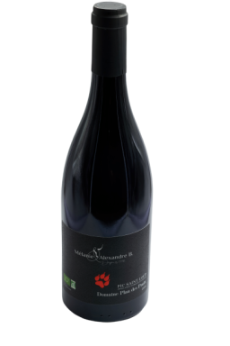 Logo for: Domaine Plan des Pratx