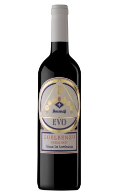 Logo for: Guelbenzu Evo