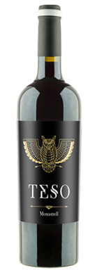 Logo for: Teso