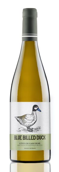 Photo for: Blue Billed Duck 