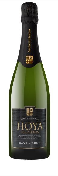 Photo for: Hoya de Cadenas Cava Brut NV 
