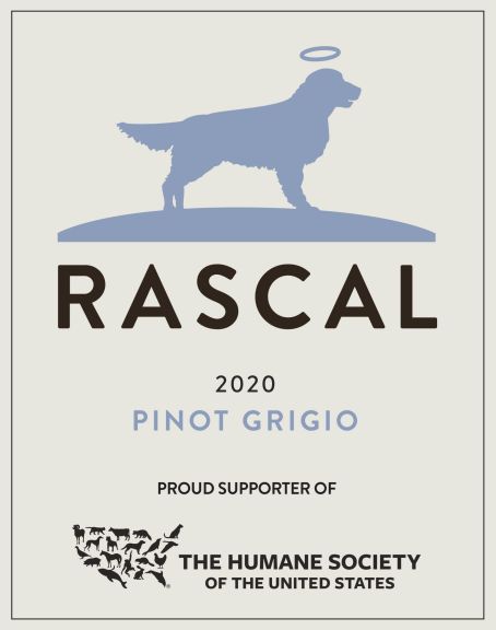 Photo for: Rascal Pinot Grigio 