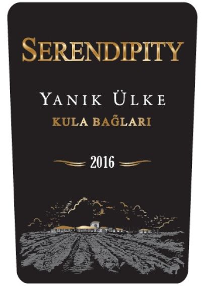 Photo for: YANIK ÜLKE SERENDİPİTY