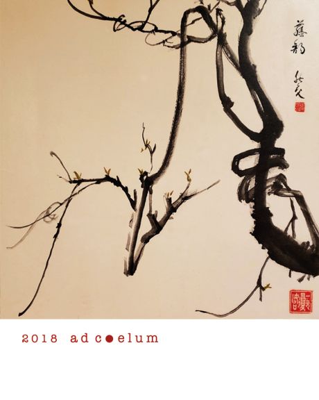 Photo for: Ad Coelum