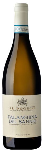 Photo for: IL Poggio - Falanghina