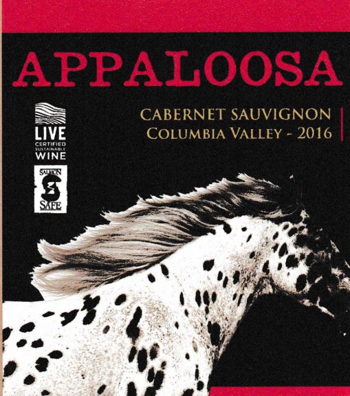 Photo for: Appaloosa