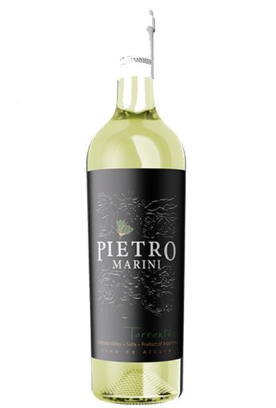 Photo for: Pietro Marini Torrontes