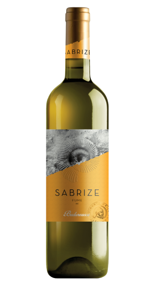 Photo for: Sabrize - Fume