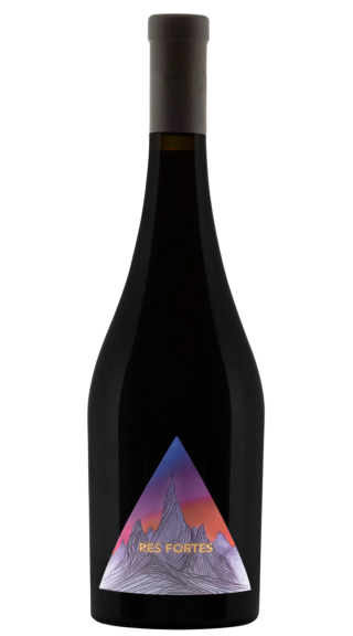 Photo for: Res Fortes GMS