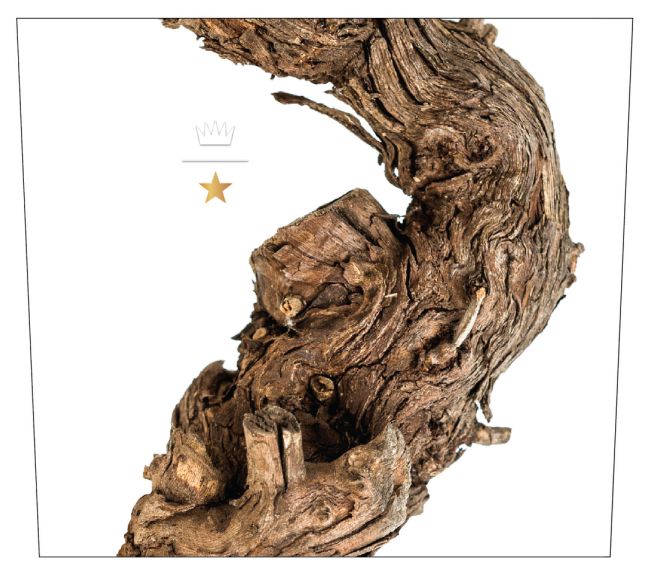 Photo for: Vara Vina Cardinal